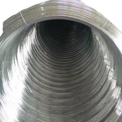 China Braided Fastener Manufacturer Supply Galvanized Wire Construction Site Soft Wire Fine Line for sale