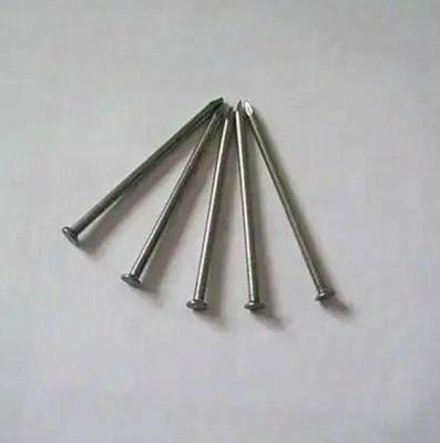 China Construction Polished Wire Nail Bright Joint Iron Nail Bulk Discount for sale