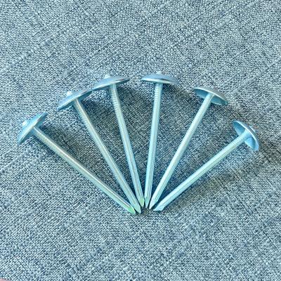 China Construction Building Nails Household Nails Special Ranch Fence Nails for sale