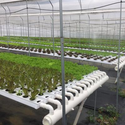 China GRO-DRO Farms cheap 118*50mm agricultural grow square pvc food grade nft hydroponic channel for sale