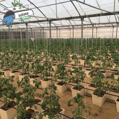 China Commercial Dutch Greenhouse DWC Bucket For Greenhouse for sale