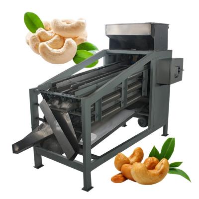 China Other Nut Processing Plant Factory Sales Wholesale Price Cashew Nuts Sorting Nuts Grader Sorter Separator Machine for sale