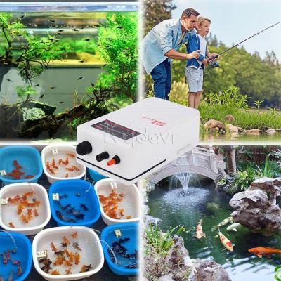 China Plastic Outdoor Oxygen Pump 0.02mpa 2l/min Emergency Dry Battery Compressor Aquarium Aquarium Air Oxygen Pump Aquariums & Accessories for sale