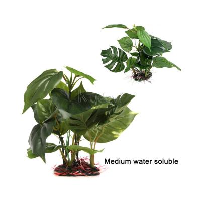 China Ornamental Plant Monstera Object Fish Tank Aquarium Seed Decorations Viable Rock Plants for sale