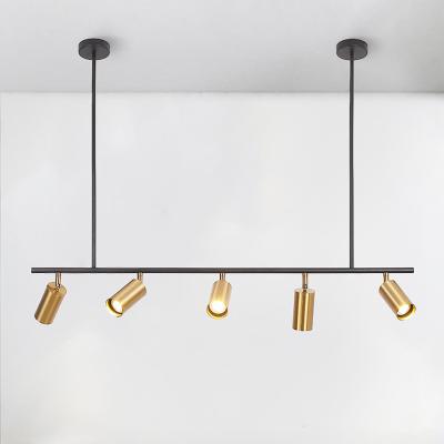 China Modern Modern Designer Interiors Pendant Lighting Chandeliers Spot Light Suspension for sale