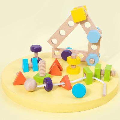 China Intellectual Games Children Wooden Nut And Bolt Set Toy Screw Set Disassembly Educational Construction Toy for sale