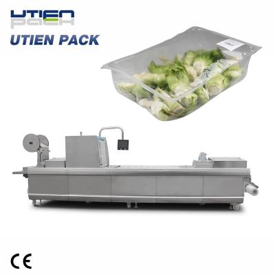 China Food CE Approved Packaging Production Line, Packing Fresh Vegetables And Fruits, Food, Meat for sale