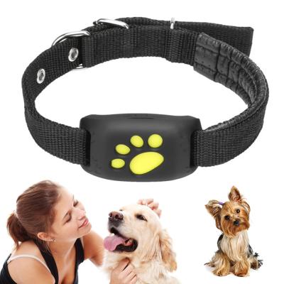 China IOS Android App Dog Cat GPS Tracker Water Resistant USB Collar Charging GPS Trackers GPS Service Reminder For Universal Dogs Cats for sale