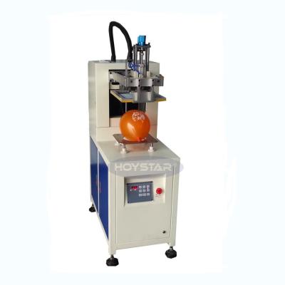 China Cheap Hotels Balloon Logo Printing Machine One Station Screen Printer for sale