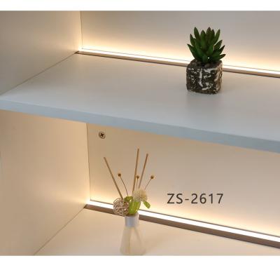 China 3500K Warm White Aluminum Recessed LED Cabinet Light For Showcase for sale