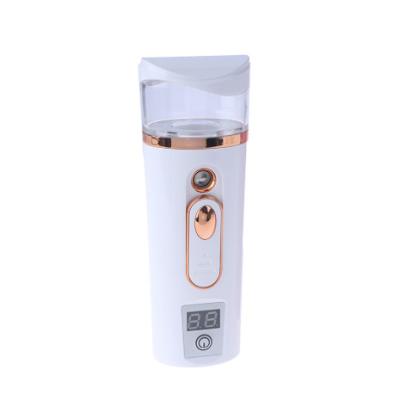 China Mister Facial Steamer Mini Portable Face Mist Handy Moisturizer Sprayer Face Steamer for sale