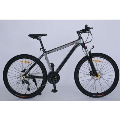 China Popular Box Customized Color Mountain Professional Bicycle Foldable Bicycle for sale