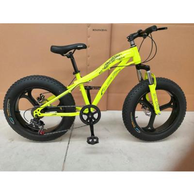 China Sports 20 inch 21 speed snow bike small tires fat bike fat tire bicycle factory hot sale wholesale for sale