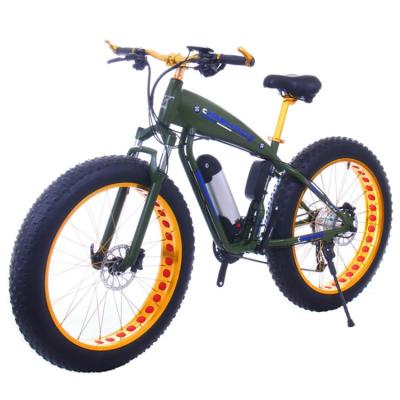 China Standard head quality 500w 750w electric snow bicycle ebike for sale for sale