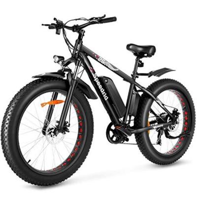 China Cheap Good Quality Standard 21 Speed ​​Power Assisted Snow Electric Bicycle for sale