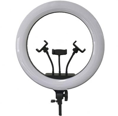 China 2020 UEGOGO Adjustable Color Tempurate UEGOGO Vlog Livestream Photography LED Ring Light 18inch Circle Selfie Photography Ring Light with Phone Holder Tripod Stand for sale