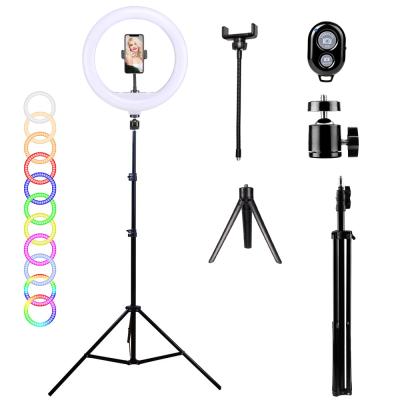 China Photogrphy's Group of Ten UEGOGO 10 Inch Circle Photography Phone Color Changing RGB Ring Light with Tripod Stand for sale