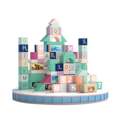 China Early Education Puzzle Kids Educational Toys Children Block Early Education Toy Building Blocks ch 228 for sale