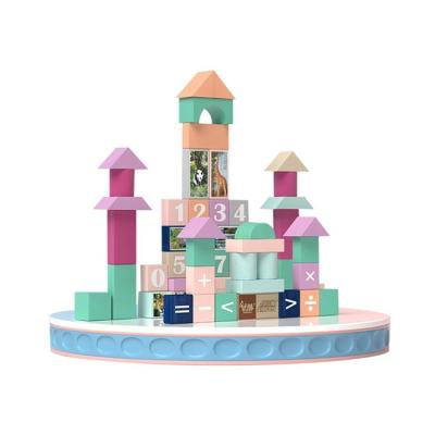 China Early Education Puzzle Set Intelligence 55 Plastic Grain Early Education Toy Building Blocks CH885 for sale