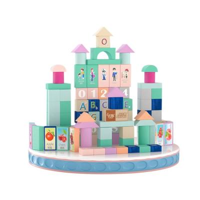 China Children's Plastic Brain High Quality Early Education Toy Building Blocks early education puzzle ch 812 for sale