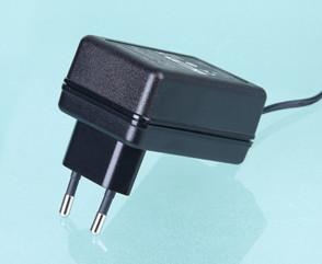 Chine l'adaptateur 100V - de puissance à C.A. 24W de 24V 1A C.A. 240V 50 - 60 hertz a entré le poids léger à vendre