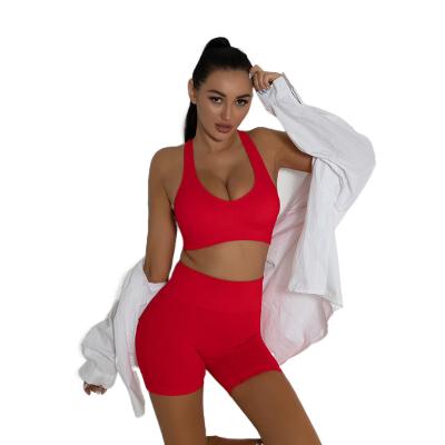 China 2022 New Arrival Breathable Hot Sale Women Fitness Clothing Seamless Organic Yoga Wear Set for sale