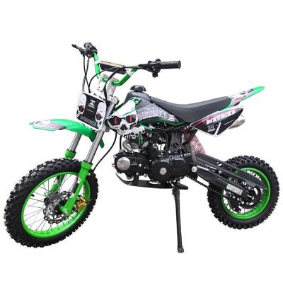 China Off Road 110cc 4 Stroke Electric Start Automatic Clutch Dirt Bike D7-06B for sale