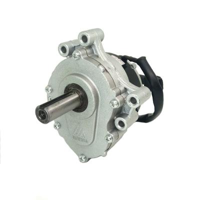 China 24V 250W Totally Enclosed Gear Motor for Demountable Robot Wheelchair Brushed Electric Gear Motor for sale