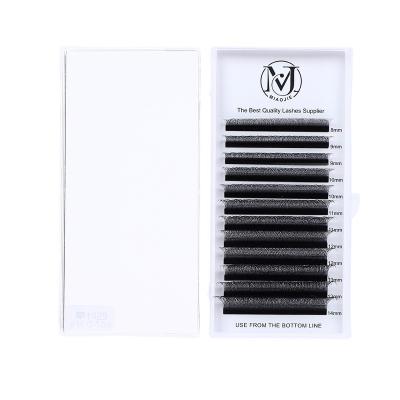 China Full Volume Wholesale Price Yy W-4d Eyelash Extension Hot Sale Individual Eyelash Extension for sale