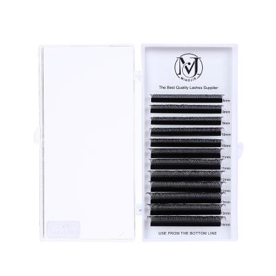 China Full Volume Private Label Wholesale Price YY Eyelash Extension Hot Sale Individual Eyelash Extension for sale