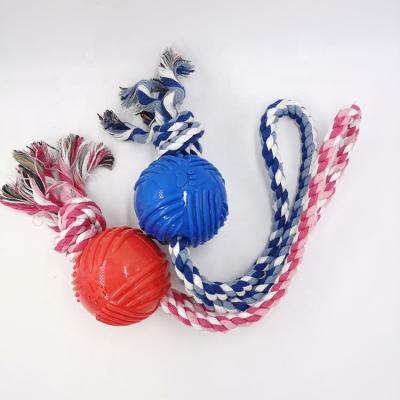 China Durable Pet Bite Resistant Molars TPR Training Educational Interactive Dog Toys Ball With String for sale