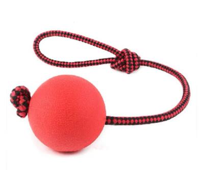 China Amazon Pet Viable Hot Selling Rubber Bouncy Balls With Rope Bite Resistant Dog Chew Ball Molar Toy for sale