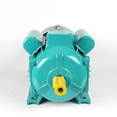 China YC-100L-2 3HP 2.2KW Single Phase Induction Totally Enclosed Electric Motor 220v for sale