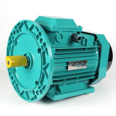 China ELECTRIC MOTOR totally enclosed ABB M2BAX original M2QA M3BP 55KW 75HP 15KW 20HP 90KW for sale