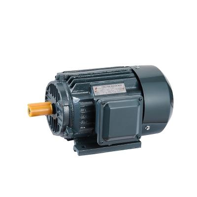 China Y3 AC Electric Motor Totally Sealed Lightweight Three Phase Motor Price for sale