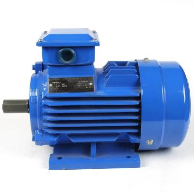 China 0.18Kw-315Kw 590-2980RPM Y3 Series Three Phase Asynchronous Motors Plant Totally Enclosed AC 380V Electric Motor for sale