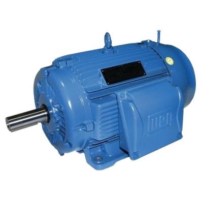 China OEM ODM 30KW 22KW 7.5KW 15KW 30HP 25HP 0.55HP Y Series AC Three Phase Induction Electric Motor 380V Totally Enclosed for sale