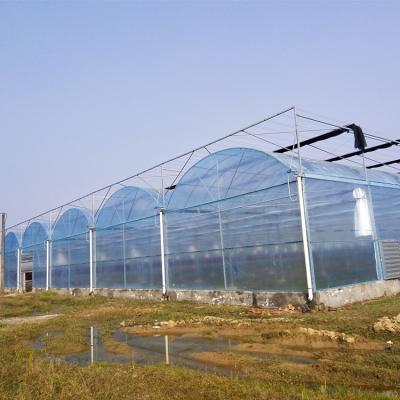 China Pipeline For Agriculture Use Insulated Greenhouse for sale