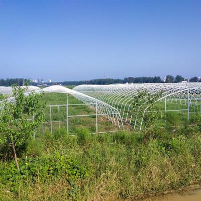 China Pipeline For Agriculture Use Gothic Tunnel Greenhouse for sale