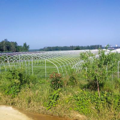 China Pipeline For Agriculture Use Greenhouse Frame Connector for sale