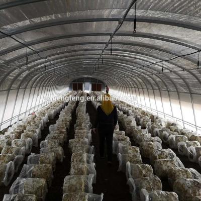 China Long Lifespan And Beautiful Outside China Manufacturer Mushroom Growing Farm Greenhouse for sale