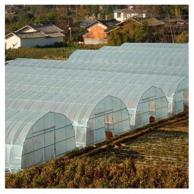 China Israel Hot Sell Agriculture Solar Greenhouse Simple Span Long Life Span And Beautiful Exterior for sale