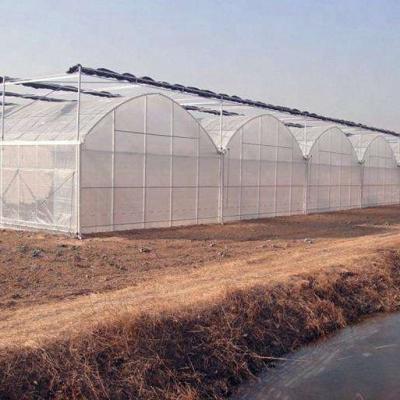 China Long Service Life Agricultural Greenhouses And China Beautiful Outdoor Plastic Film Greenhouses Prices for sale