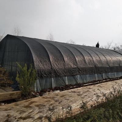 China Long Service Life And Beautiful Outdoor Agricultural Sun Shade Net Greenhouse For Mushroom Growing for sale