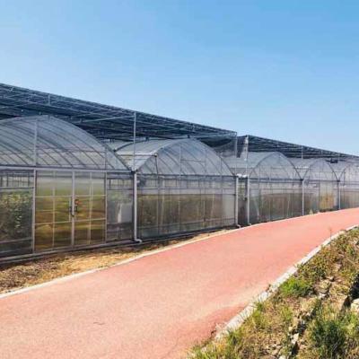 China Long Lifespan And High Quality Outdoor Bel Film Greenhouse Factory Supply For Saudi Arabia for sale