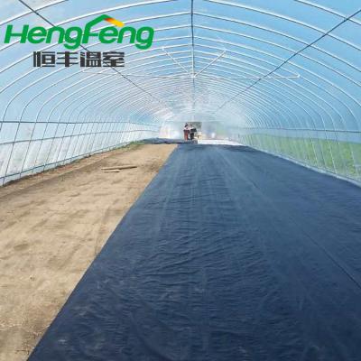 China Outdoor High Quality Long Service Life And Beautiful Agricultural Grow Tents Plastic Film Greenhouse for sale