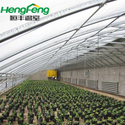 China Long Service Life Use Polyethylene Greenhouse Supply Solar Agricultural Greenhouse Cooling System Aquaponic Grow Bed Hydroponics Kratky Grow Box for sale