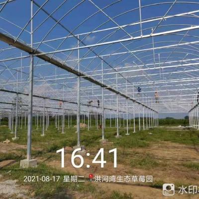 China Pipeline for agricultural use agriculture > agricultural equipment > agricultural greenhouses for sale