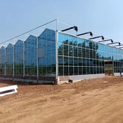 China Pipeline For Agriculture Commercial Use Greenhouse Multi Span Glass Greenhouse For Sale for sale