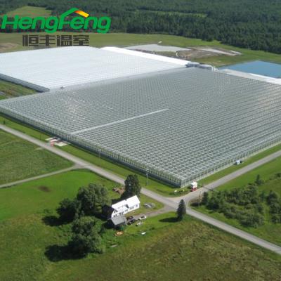 China Greenhouse For Agriculture Use Greenhouses For Agriculture for sale